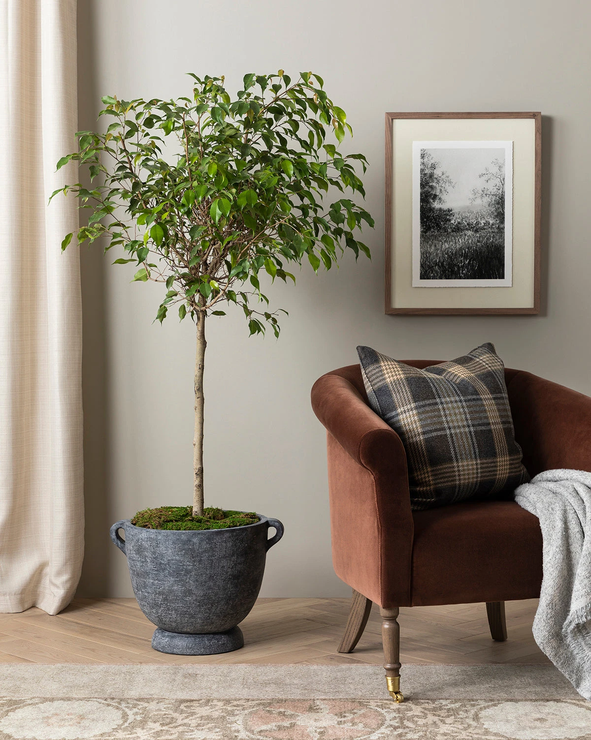 Cleo Terracotta Planter 2 Cleo Terracotta Planter - Image 2