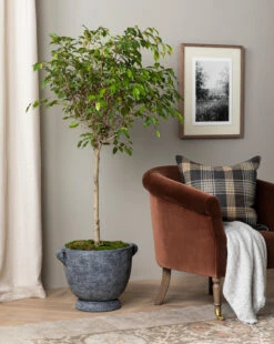 Esma Gray Fringed Throw -Home Improvement Shop 20230608 SS FallCatalogue 006 T