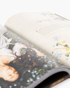 An American In Provence -Home Improvement Shop AnAmericaninProvence MDCR2634 MLT OS D2