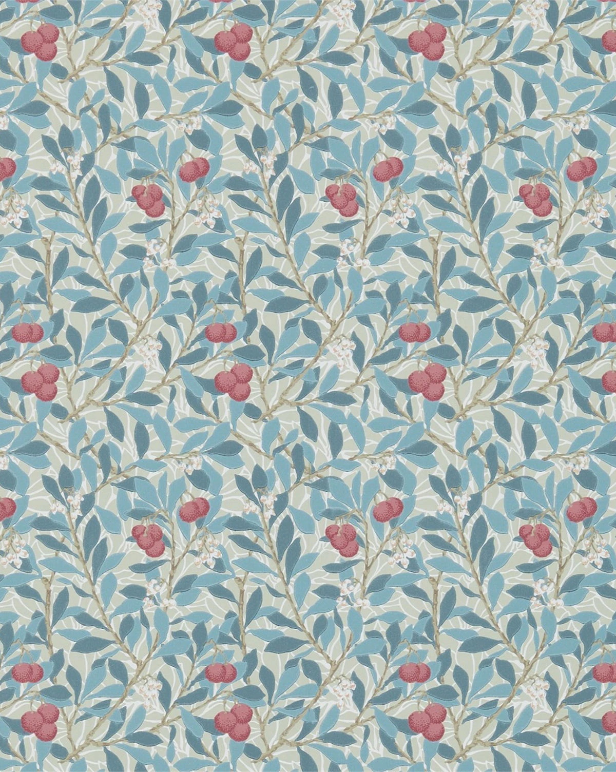 Arbutus Wallpaper 1 Arbutus Wallpaper