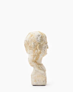 Cement Head Sculpture -Home Improvement Shop CementHeadSculpture MDCR1905 WDN OS D2