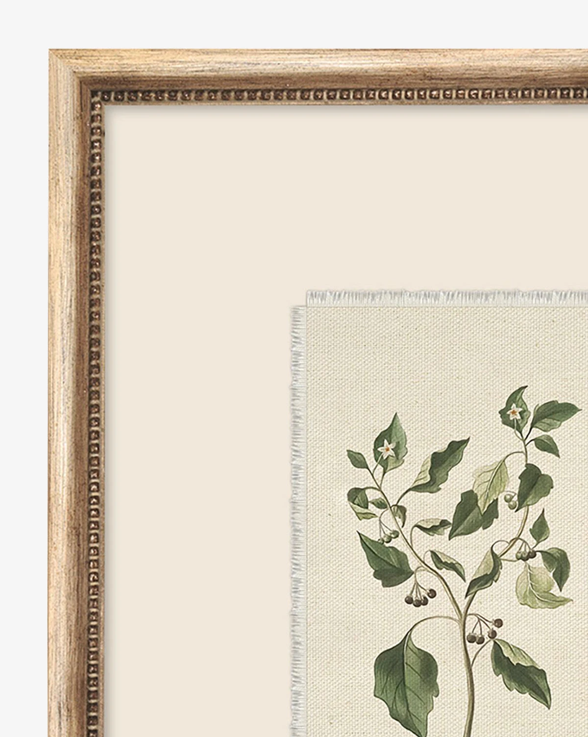 Delicate Floral Lll 2 Delicate Floral Lll - Image 2