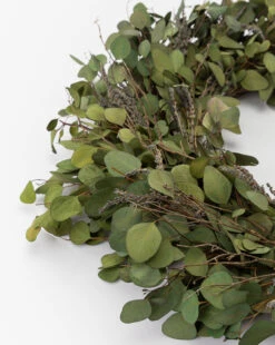 Dried Gardener Wreath 5 Dried Gardener Wreath -Home Improvement Shop DriedGardenerWreath MDCR2622 GRN OS D1