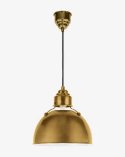 Eugene Pendant -Home Improvement Shop EugenePendant MLHT0167 BRS S