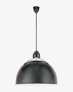 Eugene Pendant -Home Improvement Shop EugenePendant MLHT0167 BRZ L
