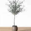 Faux 72" Olive Tree With Ceramic Pot