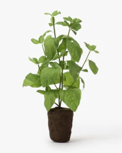 Faux Basil Drop-In -Home Improvement Shop FauxBasilDrop In MDCR0029 GRN L