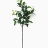 Faux Laurel Leaf Branch
