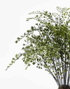 Faux Maiden Hair Drop-In 11 Faux Maiden Hair Drop-In -Home Improvement Shop FauxMaidenHairDrop In MDCR0037 GRN D1 9bfd7668 c93a 4f44 ac74 bebd7e5fbba5