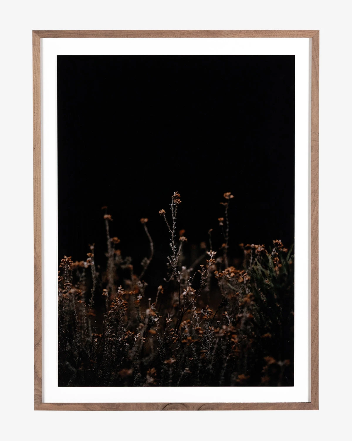 Flowers On Black Background 1 Flowers On Black Background