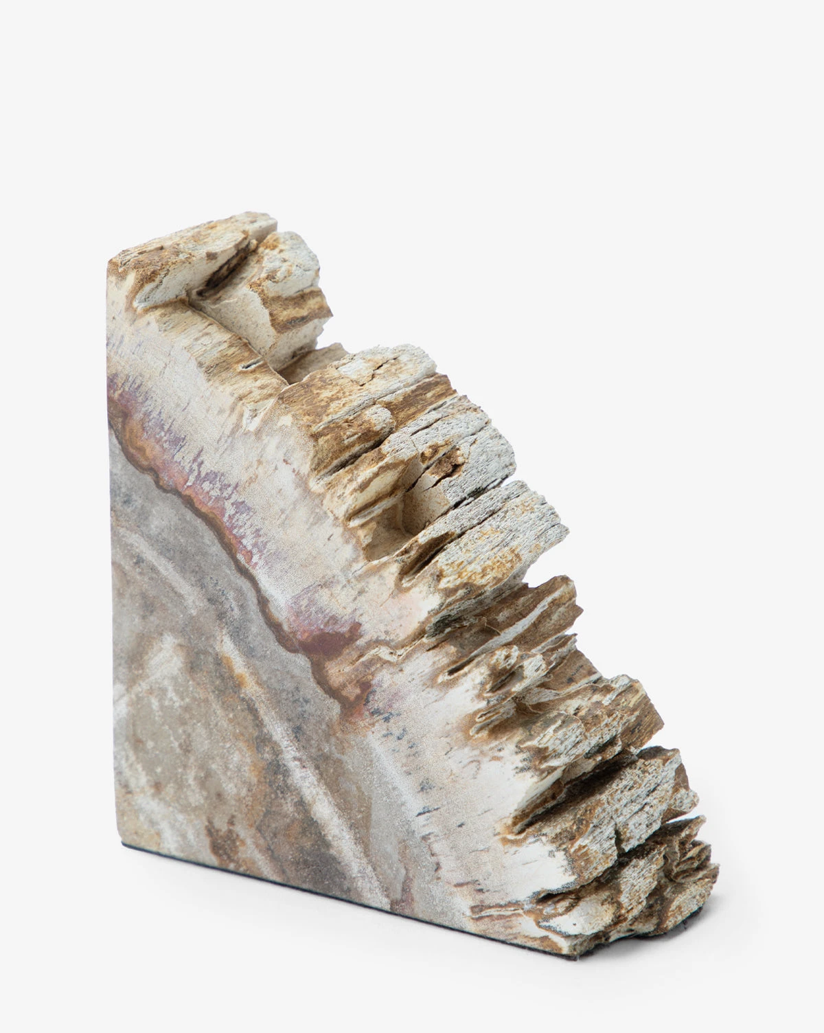 Fossilized Wood Bookends (Set Of 2) 4 Fossilized Wood Bookends (Set Of 2) - Image 4