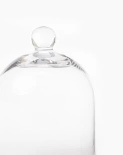 Glass Cloche 5 Glass Cloche -Home Improvement Shop GlassCloche MDCR1876 GLS OS D1