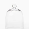 Glass Cloche