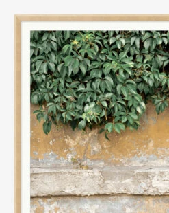 Growth -Home Improvement Shop Growth MART1405 GRN 43x29 F D1