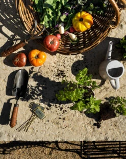 Gardening Shovel 7 Gardening Shovel -Home Improvement Shop Outdoor Templated 13