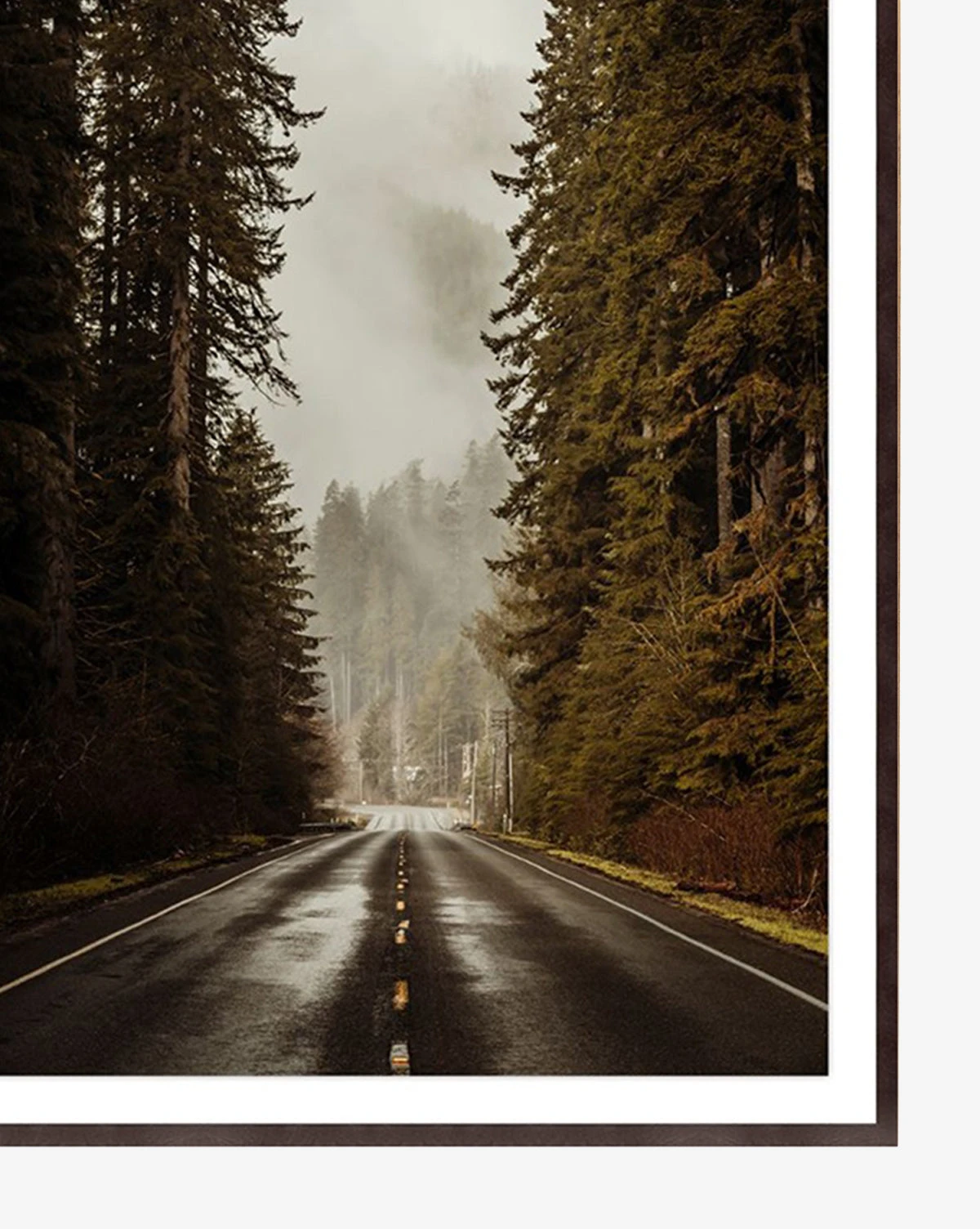 Path Less Traveled 2 Path Less Traveled - Image 2