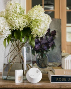 Pura X Studio McGee Sea Salt Driftwood Home Fragrance Refill -Home Improvement Shop Pura 9