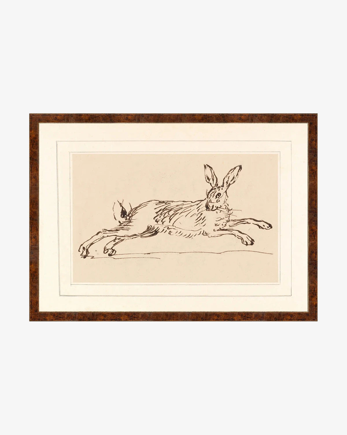 Running Rabbit 1 Running Rabbit