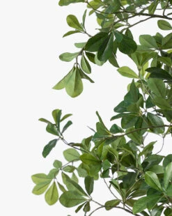 Shady Lady Faux Tree -Home Improvement Shop ShadyLadyFauxTree MDCR2608 GRN 96 D1