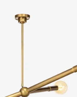 Talon Chandelier -Home Improvement Shop TalonChandelierBrass5