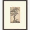Tree On A Hilltop