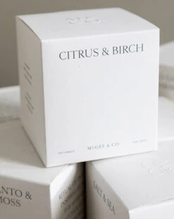 Citrus & Birch Candle 7 Citrus & Birch Candle -Home Improvement Shop fragrance templated 8