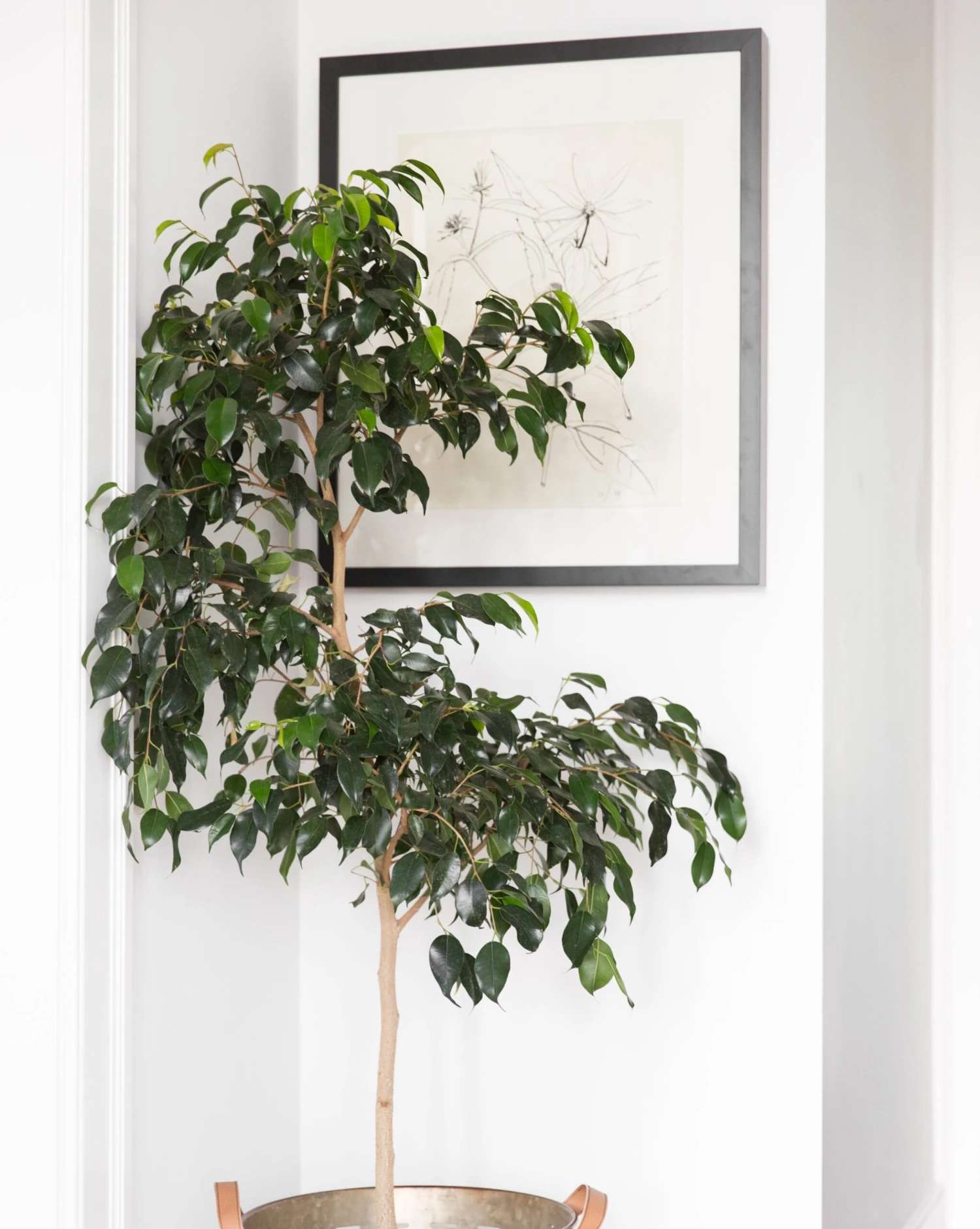 Floral Study 3 2 Floral Study 3 - Image 2